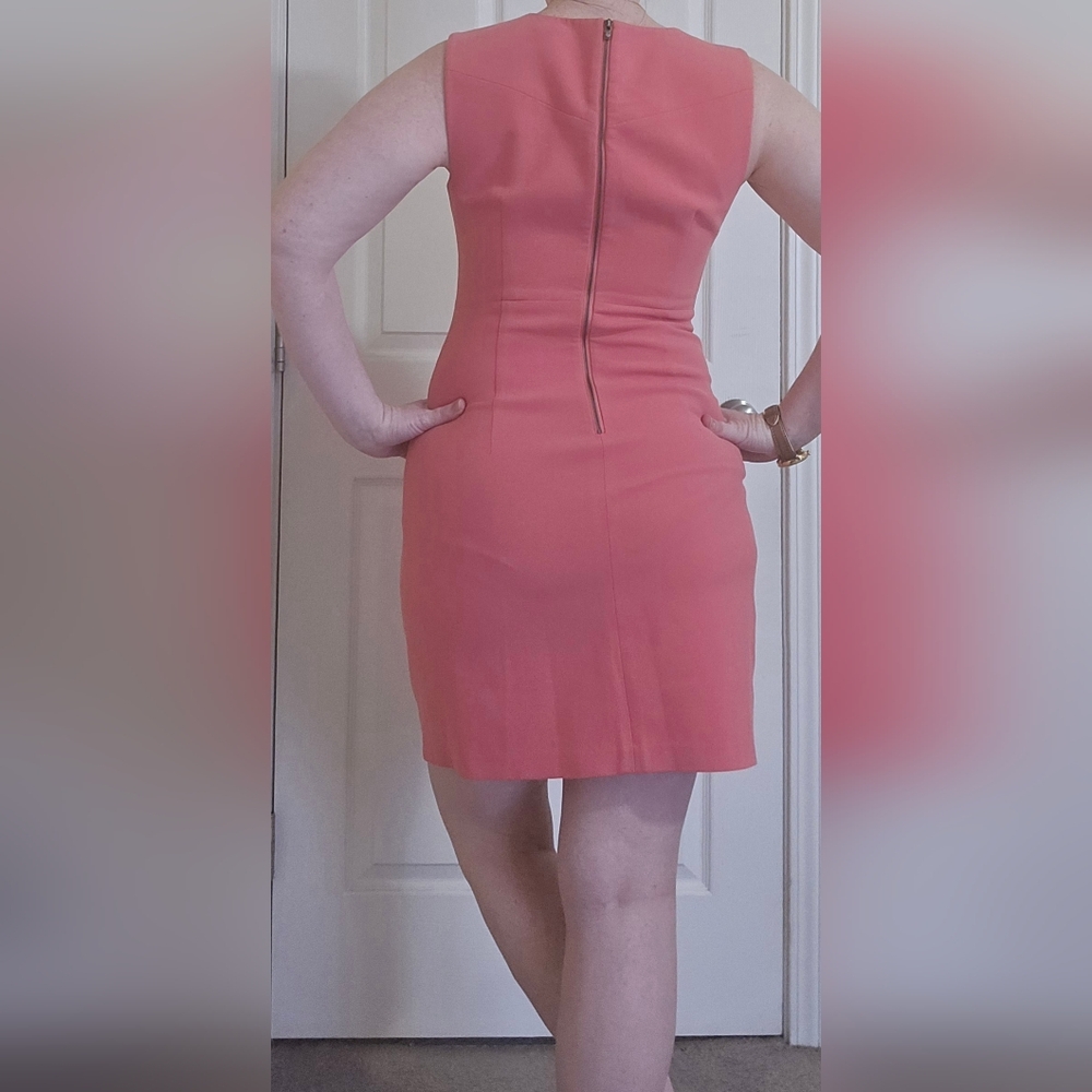 Diane Von Furstenberg Pink Sheath Dress - Picture 3 of 6
